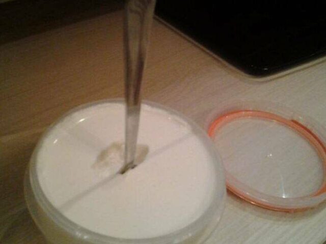Йогурт настоящий